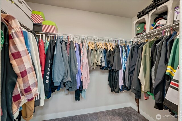 8323 E Gilman Ave, Arlington, WA 98223 - spacious closet with carpet floors