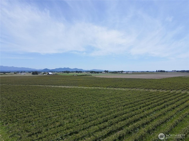 0 Young Rd, Mount Vernon, WA 98273 - photo 1