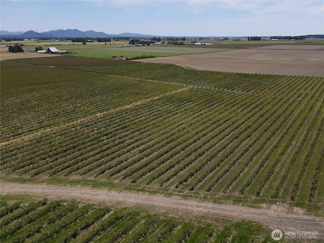0 Young Rd, Mount Vernon, WA 98273 - photo 4