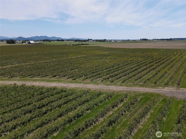 0 Young Rd, Mount Vernon, WA 98273 - photo 5