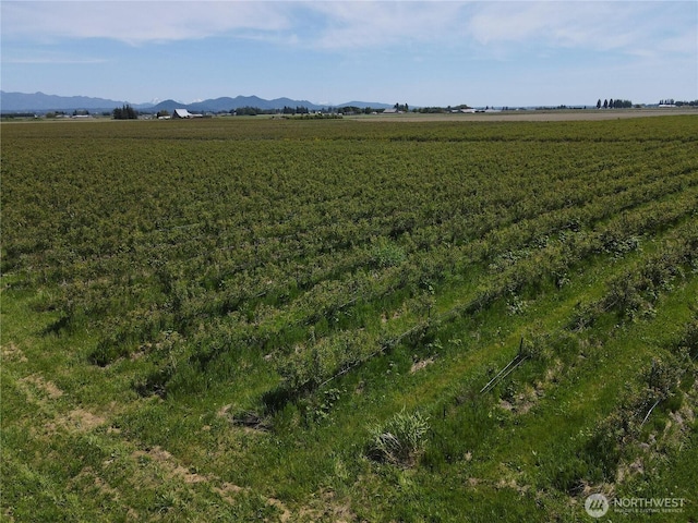 0 Young Rd, Mount Vernon, WA 98273 - photo 7