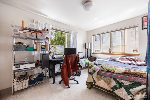 8530 Nesbit Ave N, Seattle, WA 98103 - carpeted bedroom featuring a desk