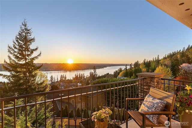 20619 NE 16th St, Sammamish, WA 98074 - photo 17