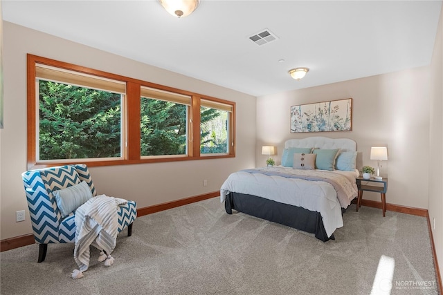20619 NE 16th St, Sammamish, WA 98074 - photo 27