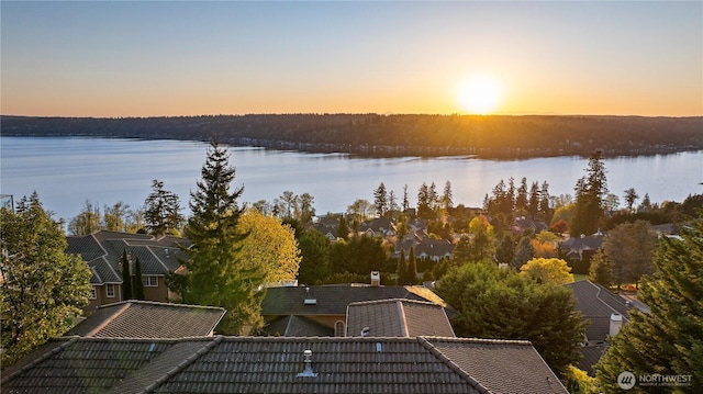 20619 NE 16th St, Sammamish, WA 98074 - photo 37