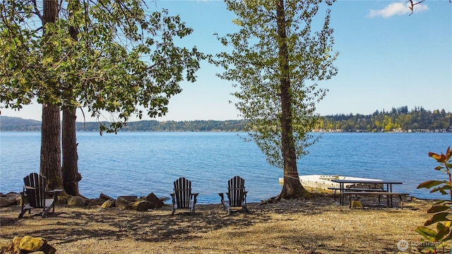 20619 NE 16th St, Sammamish, WA 98074 - photo 38
