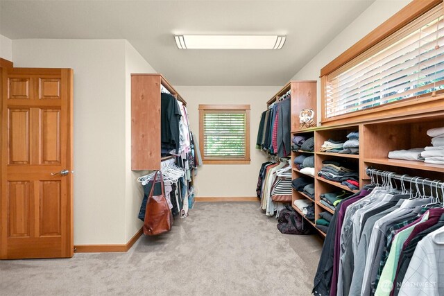 8795 Wood Duck Way, Blaine, WA 98230 - spacious closet with carpet flooring