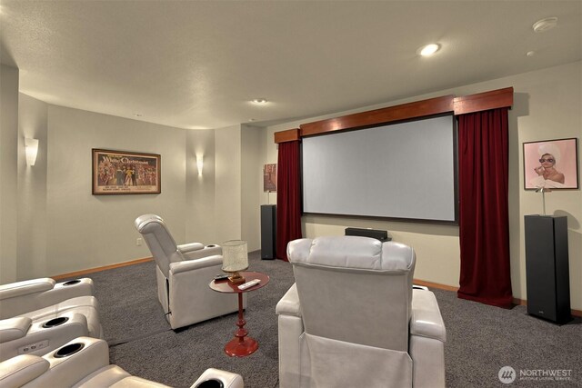 8795 Wood Duck Way, Blaine, WA 98230 - carpeted cinema room with recessed lighting