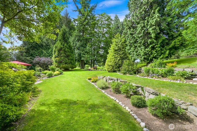 8795 Wood Duck Way, Blaine, WA 98230 - view of green lawn
