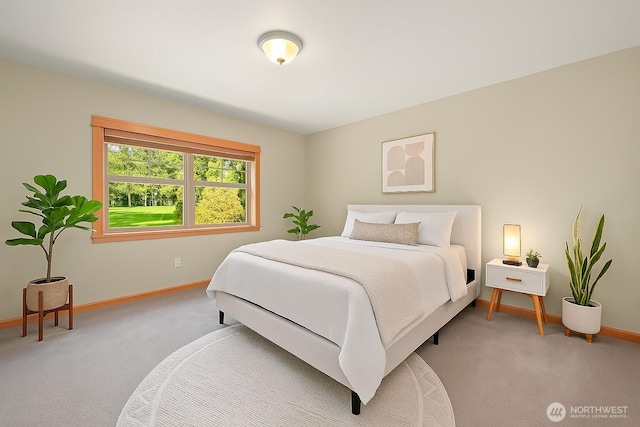 8795 Wood Duck Way, Blaine, WA 98230 - bedroom featuring light carpet