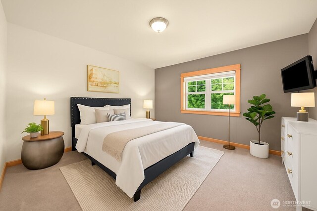 8795 Wood Duck Way, Blaine, WA 98230 - bedroom featuring light colored carpet and baseboards