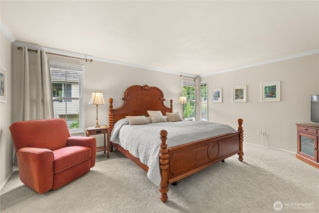 22233 NE 23rd St, Sammamish, WA 98074 - bedroom with crown molding, multiple windows, light carpet, and baseboards