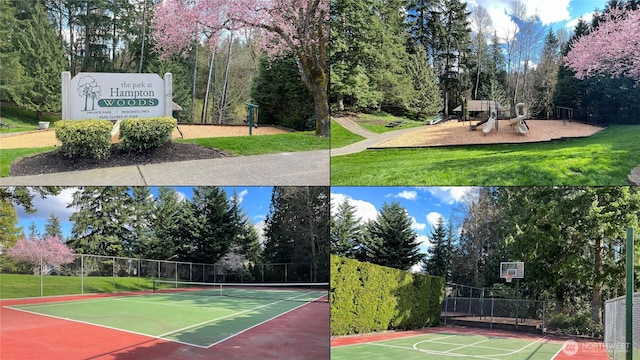 22233 NE 23rd St, Sammamish, WA 98074 - view of tennis court featuring community basketball court and view of scattered trees