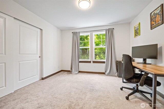 7165 27th Ave SW, Seattle, WA 98106 - home office featuring carpet and baseboards