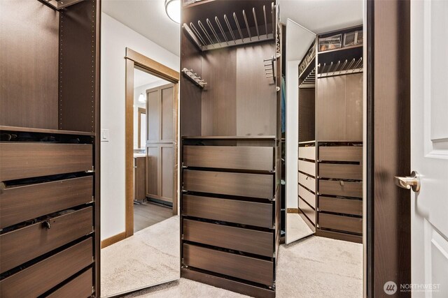 7165 27th Ave SW, Seattle, WA 98106 - view of walk in closet