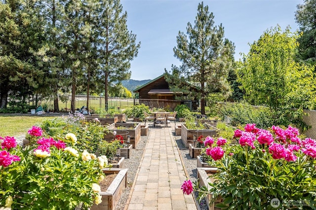 10303 Ski Hill Dr, Leavenworth, WA 98826 - view of patio / terrace with a vegetable garden