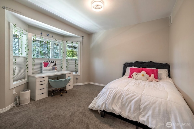 10303 Ski Hill Dr, Leavenworth, WA 98826 - bedroom featuring dark carpet and baseboards
