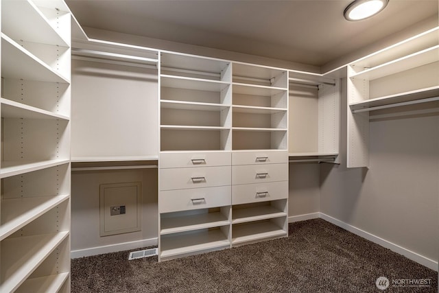 10303 Ski Hill Dr, Leavenworth, WA 98826 - spacious closet with dark colored carpet