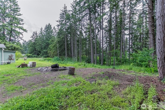 16016 11th Ave E, Tacoma, WA 98445 - view of yard featuring a forest view