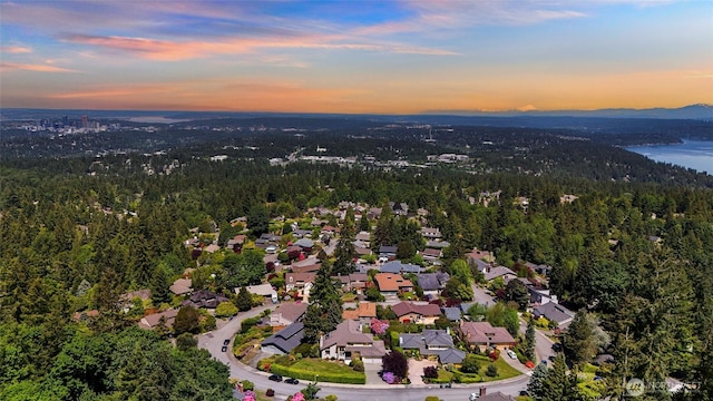 5030 155th Pl SE, Bellevue, WA 98006 - aerial view at dusk of a forest view