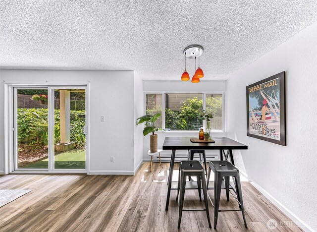 1338 Orleans St, Bellingham, WA 98229 - dining area featuring wood finished floors, a textured ceiling, baseboards, and a baseboard heating unit