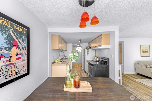 1338 Orleans St, Bellingham, WA 98229 - dining area with a textured ceiling and light wood finished floors