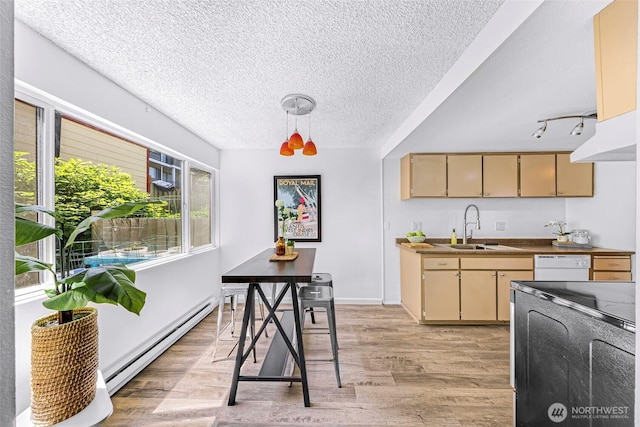 1338 Orleans St, Bellingham, WA 98229 - kitchen with a sink, a baseboard radiator, white dishwasher, a textured ceiling, and light wood finished floors