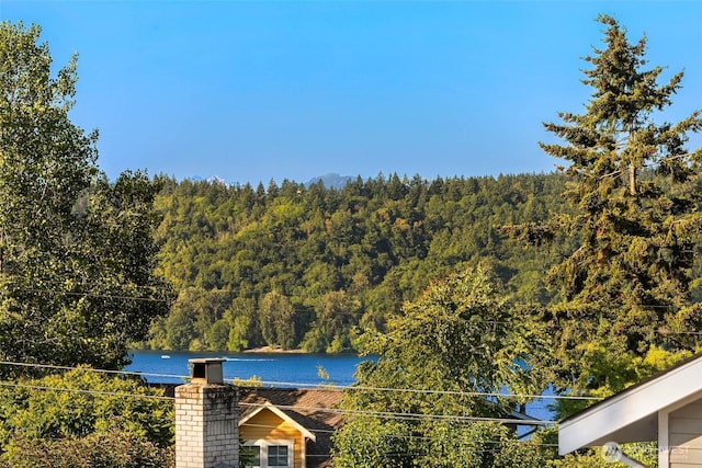 11744 NE Sand Point Way, Seattle, WA 98125 - water view with a heavily wooded area