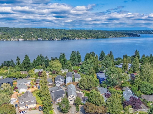 11744 NE Sand Point Way, Seattle, WA 98125 - aerial perspective of suburban area with a forest and a nearby body of water