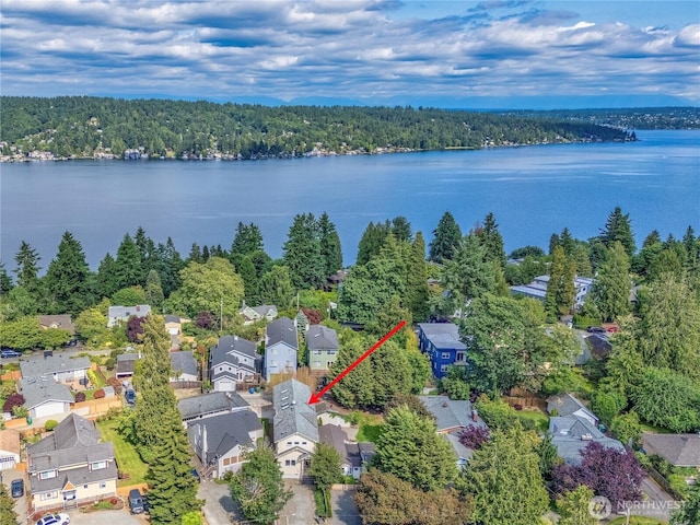 11744 NE Sand Point Way, Seattle, WA 98125 - aerial view of residential area with a forest and a large body of water