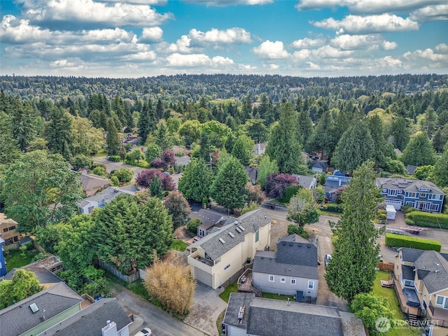 11744 NE Sand Point Way, Seattle, WA 98125 - aerial view of residential area featuring a heavily wooded area