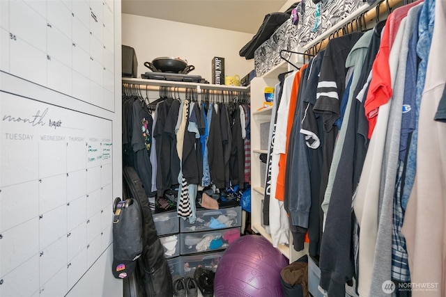 505 Herren Ave, Winlock, WA 98596 - view of walk in closet