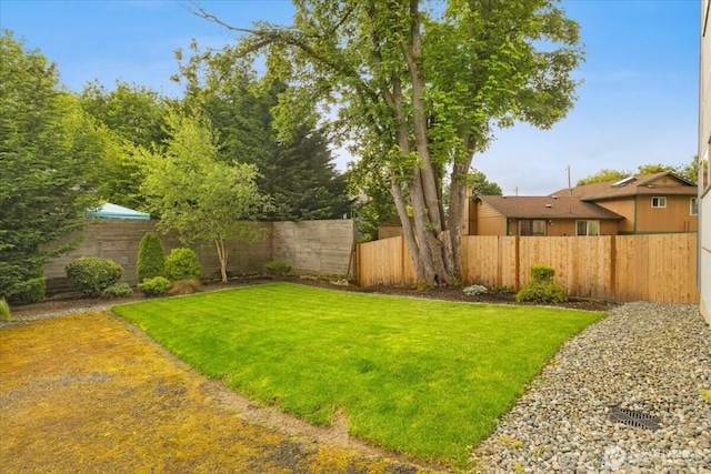 4531 S Kenny St, Seattle, WA 98118 - view of yard