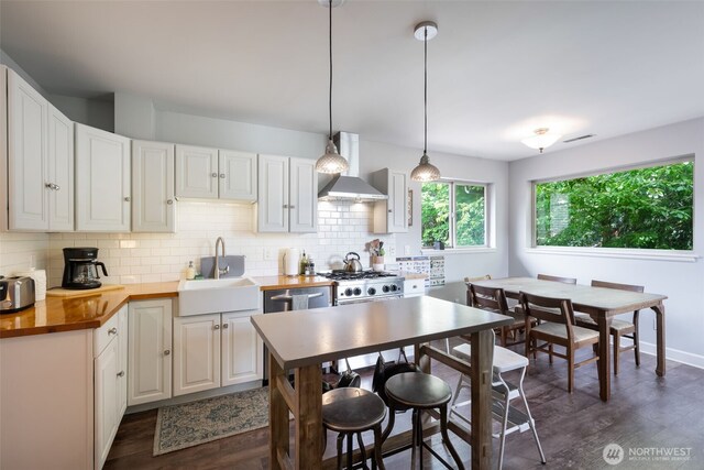 410 N 48th St, Seattle, WA 98103 - kitchen featuring wall chimney range hood, a sink, wood counters, and dark wood-type flooring