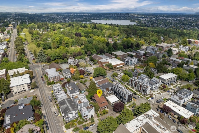 410 N 48th St, Seattle, WA 98103 - drone / aerial view of a large body of water and a heavily wooded area