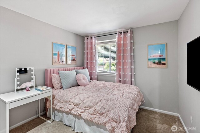 2411 19th Ave NW, Gig Harbor, WA 98335 - photo 27