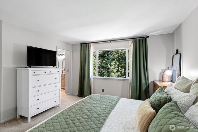 2411 19th Ave NW, Gig Harbor, WA 98335 - photo 21