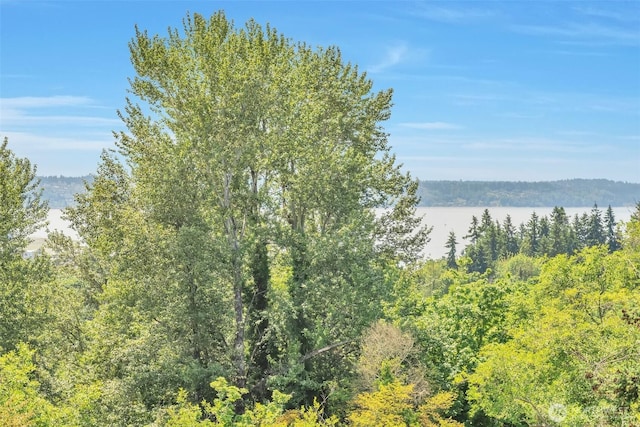 21027 7th Pl S, Des Moines, WA 98198 - water view featuring a heavily wooded area