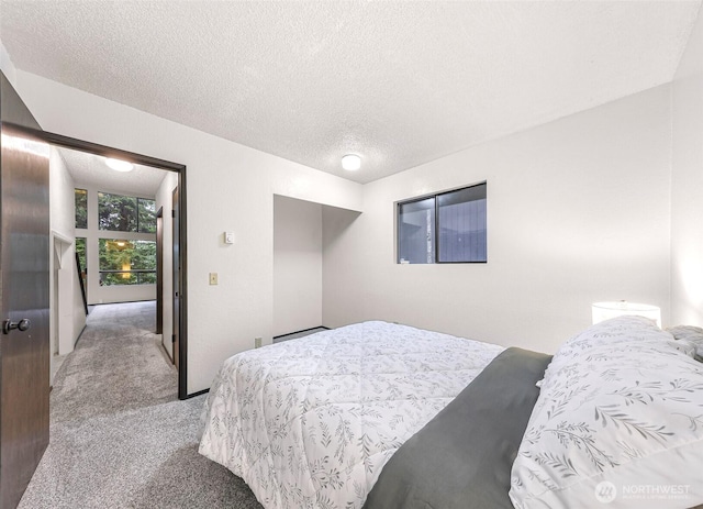 33 N Summit Dr, Bellingham, WA 98229 - carpeted bedroom featuring a textured ceiling