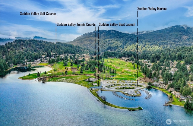 33 N Summit Dr, Bellingham, WA 98229 - bird's eye view of a heavily wooded area and a water and mountain view