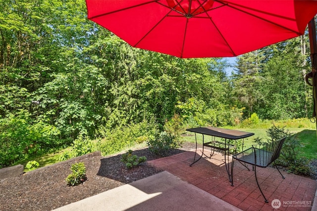 25721 173rd Ave SE, Covington, WA 98042 - view of patio / terrace