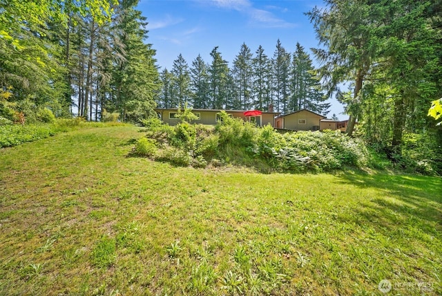 25721 173rd Ave SE, Covington, WA 98042 - view of grassy yard