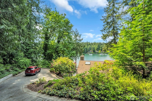 6490 NE Monte Vista Dr, Bainbridge Island, WA 98110 - view of home's exterior with a chimney, a wooded view, a water view, and concrete driveway