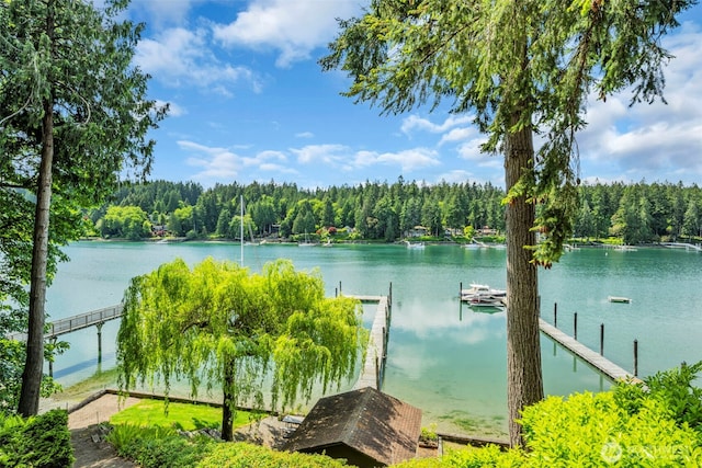 6490 NE Monte Vista Dr, Bainbridge Island, WA 98110 - water view with a forest and a boat dock