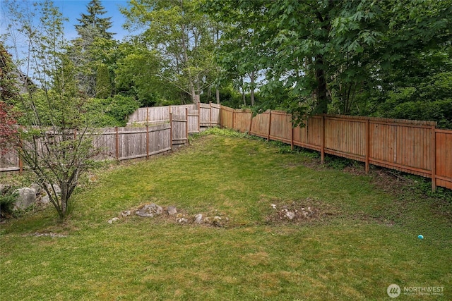 1417 S 263rd Pl, Des Moines, WA 98198 - view of yard