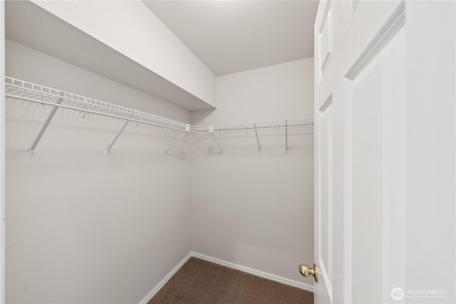 706 Finley Ln Unit S3, La Conner, WA 98257 - spacious closet with dark carpet
