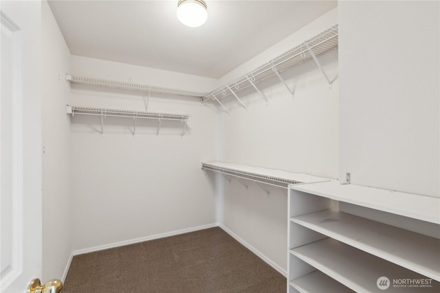 706 Finley Ln Unit S3, La Conner, WA 98257 - spacious closet with dark colored carpet