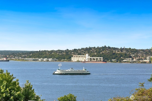 1311 Palm Ave SW, Seattle, WA 98116 - water view featuring a floating dock