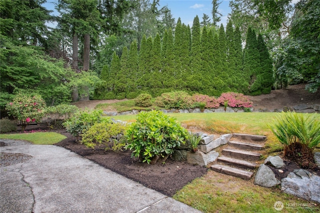 19306 SE 21st St, Sammamish, WA 98075 - view of grassy yard