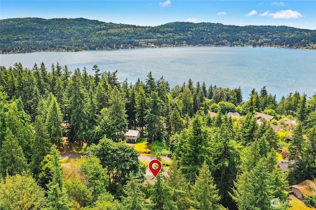 19306 SE 21st St, Sammamish, WA 98075 - aerial view of a forest and a large body of water